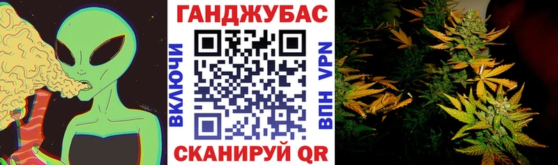 Как найти закладки Муром ГАШ  Cocaine  APVP  Меф 
