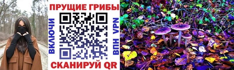 Галлюциногенные грибы MAGIC MUSHROOMS Муром