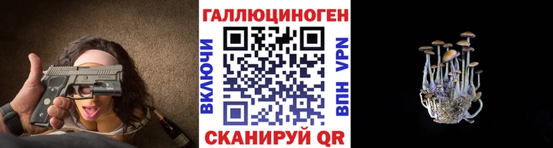 купить сайты нарко площадка какой сайт Псилоцибиновые грибы GOLDEN TEACHER Муром