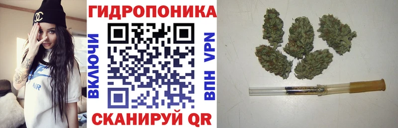 Конопля Bruce Banner  Муром 